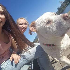 Meet your Posher, Desiree